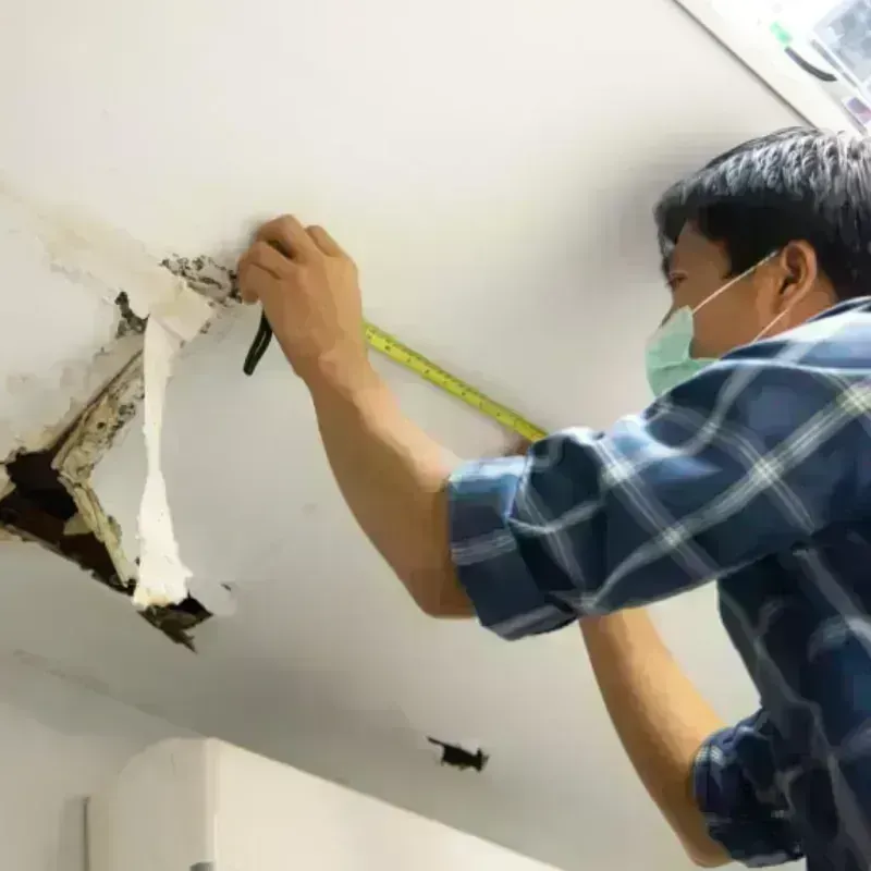 Ceiling And Wall Water Damage in Honolulu, HI