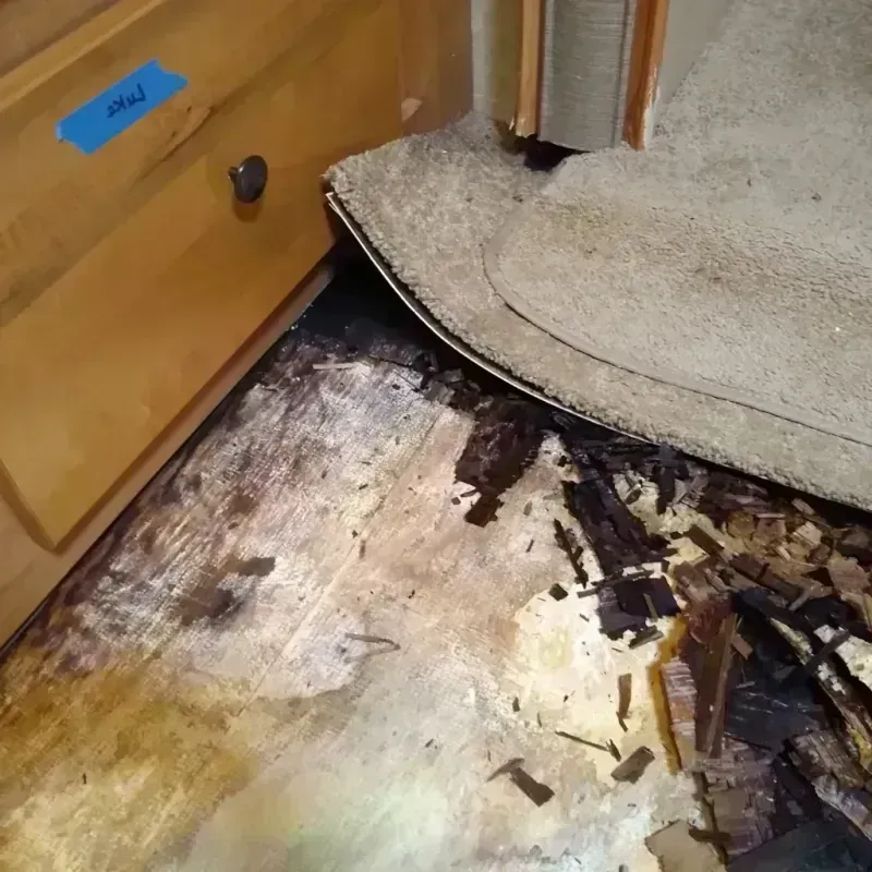 Best Wood Floor Water Damage Service in Honolulu, HI